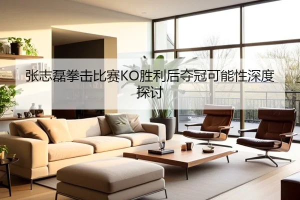 张志磊拳击比赛KO胜利后夺冠可能性深度探讨